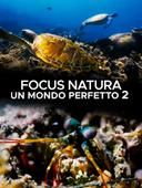 Focus natura - Un mondo perfetto 2