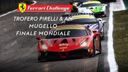 Trofero Pirelli & AM Mugello
