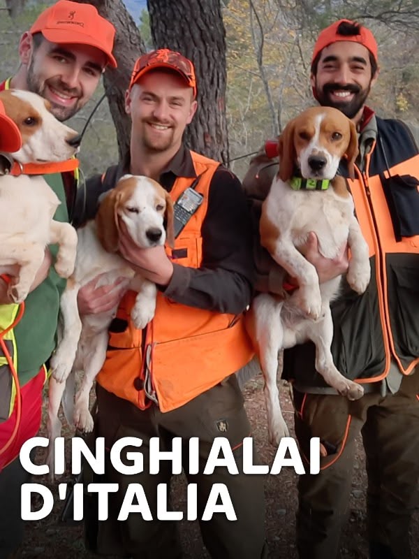 Immagine di Cinghialai d'Italia 10