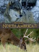 Wild North America