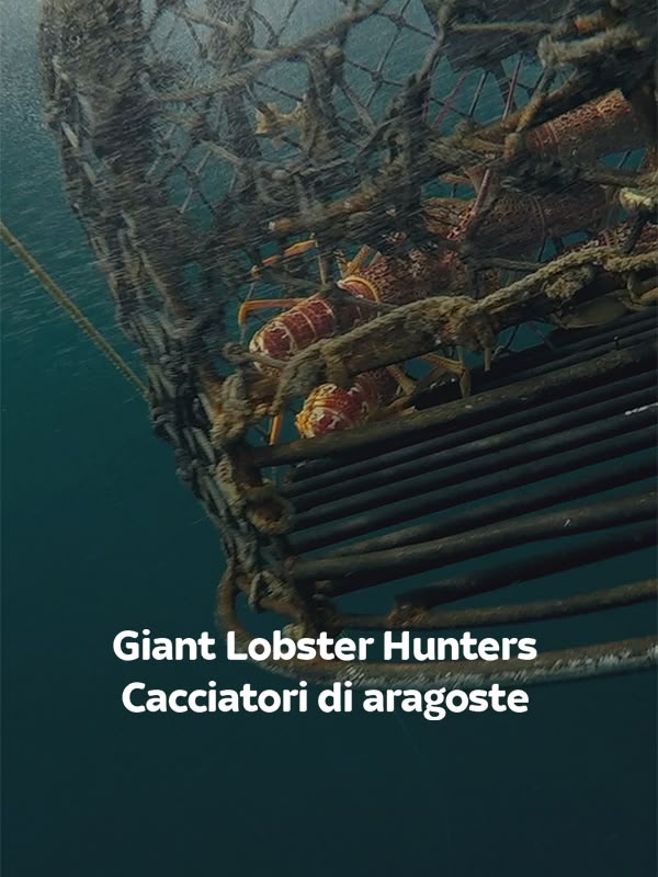 Immagine di Giant Lobster Hunters
