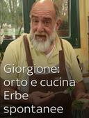Giorgione: orto e cucina - Erbe spontanee