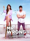 Mr Wrong - Lezioni d'amore