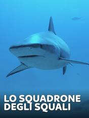 S1 Ep1 - Lo squadrone degli squali