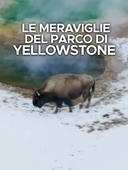 Le meraviglie del parco di Yellowstone