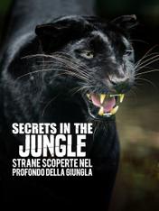 S1 Ep5 - Secrets in the jungle - Strane..