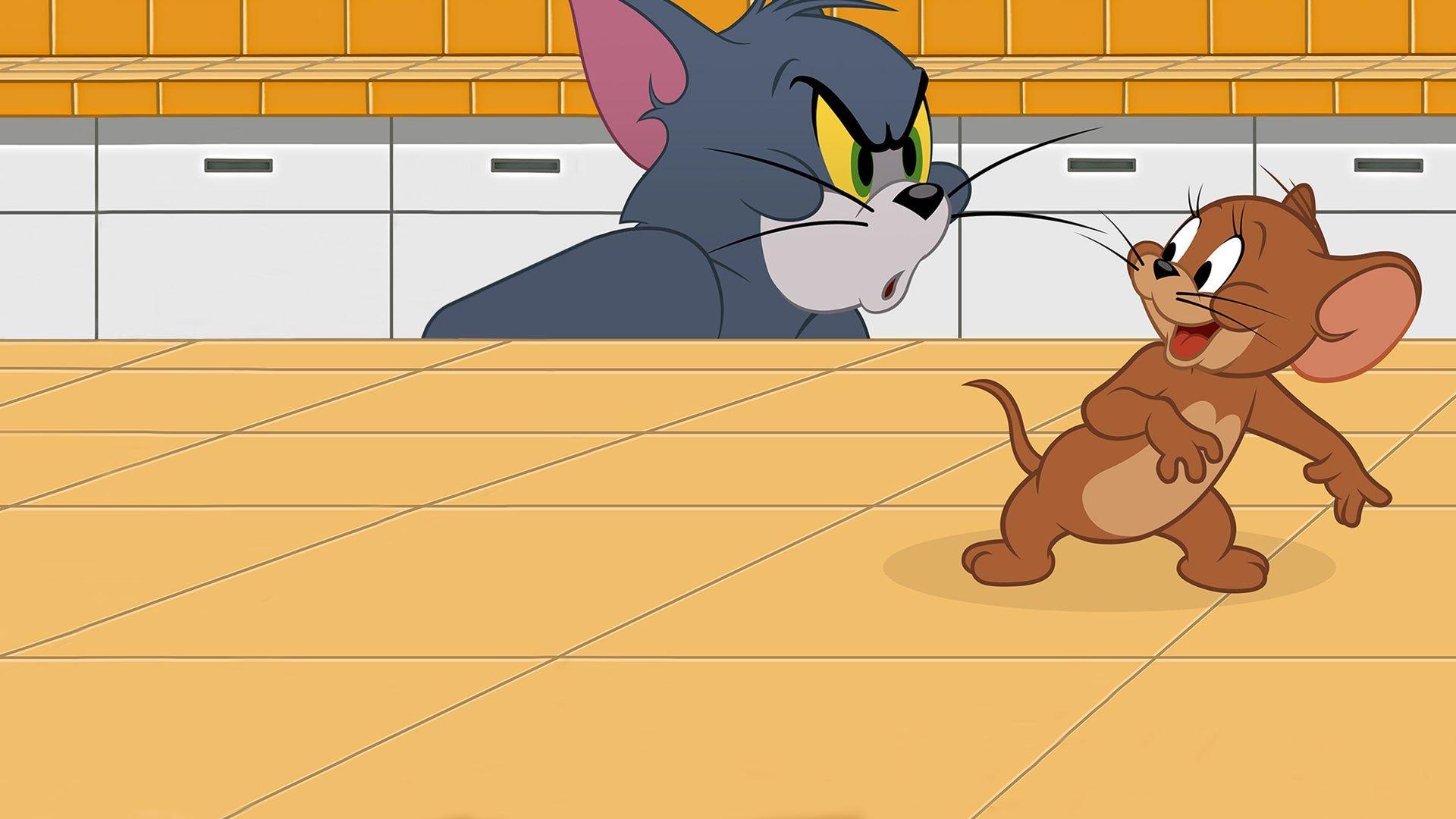 Boomerang The Tom & Jerry Show