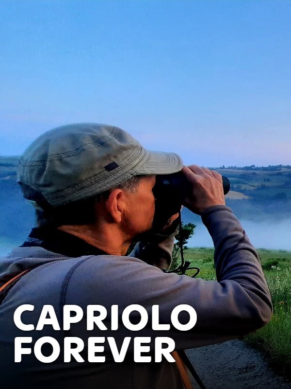 Immagine di Capriolo Forever 2