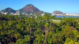 Il giardino botanico di Rio