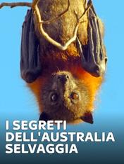 S1 Ep5 - I segreti dell'Australia selvaggia