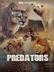 S1 Ep4 - Predators