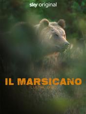 Il Marsicano - L'ultimo orso