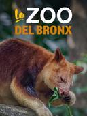 Lo zoo del Bronx