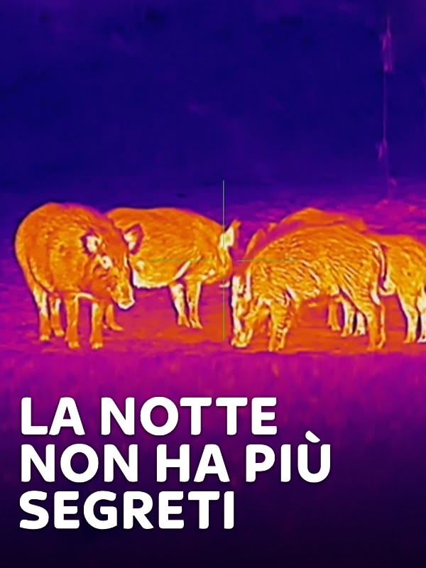 Immagine di La notte non ha piu' segreti