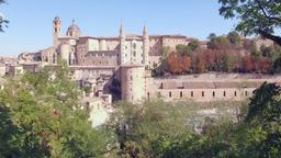 Urbino e Palazzo Ducale