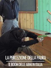La percezione della paura - Il boom delle armi in Italia