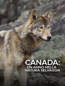 Canada: Un anno nella natura selvaggia
