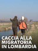 Caccia alla migratoria in Lombardia