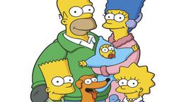 Lo scemo, lo chef, la moglie e il suo Homer