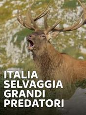 S1 Ep5 - Italia selvaggia - Grandi predatori