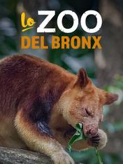 S5 Ep4 - Lo zoo del Bronx