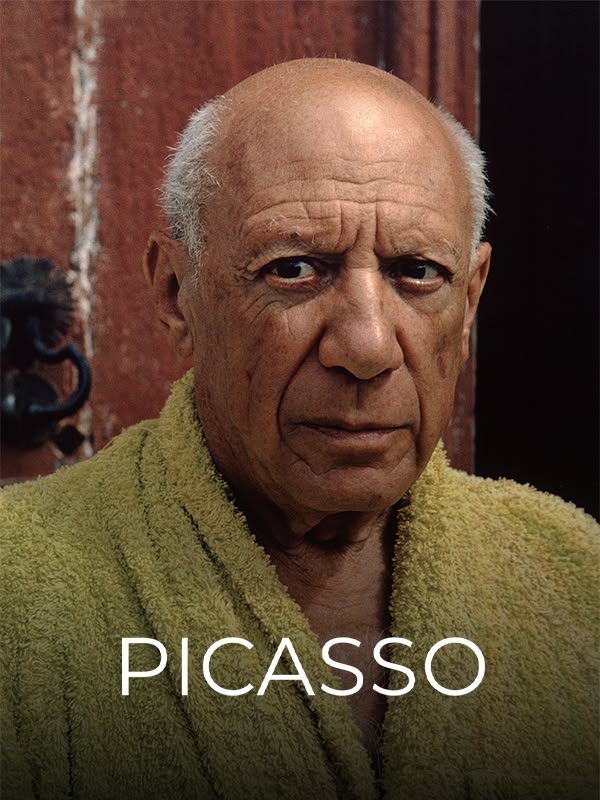 Immagine di Picasso