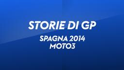 Spagna, Jerez 2014. Moto3