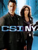 C.S.I. New York