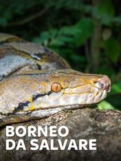 S1 Ep1 - Borneo da salvare