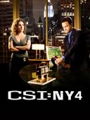 C.S.I. New York