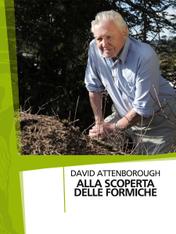 David Attenborough - Alla scoperta delle formiche