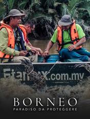 S1 Ep10 - Borneo: paradiso da proteggere