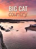 Big cat country